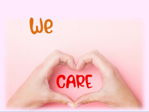Not For Profit Services